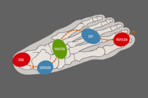 spring-pilates-maastricht-overzicht-personal-training-AIM